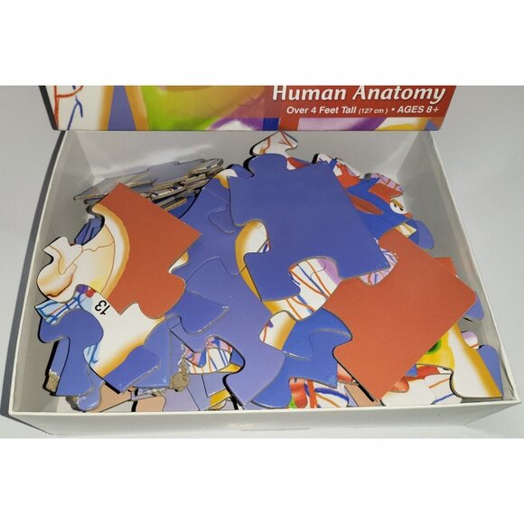 MELISSA & DOUG Human Anatomy Double-Sided Floor Puzzle 100 Pieces! - Picture 4 of 12